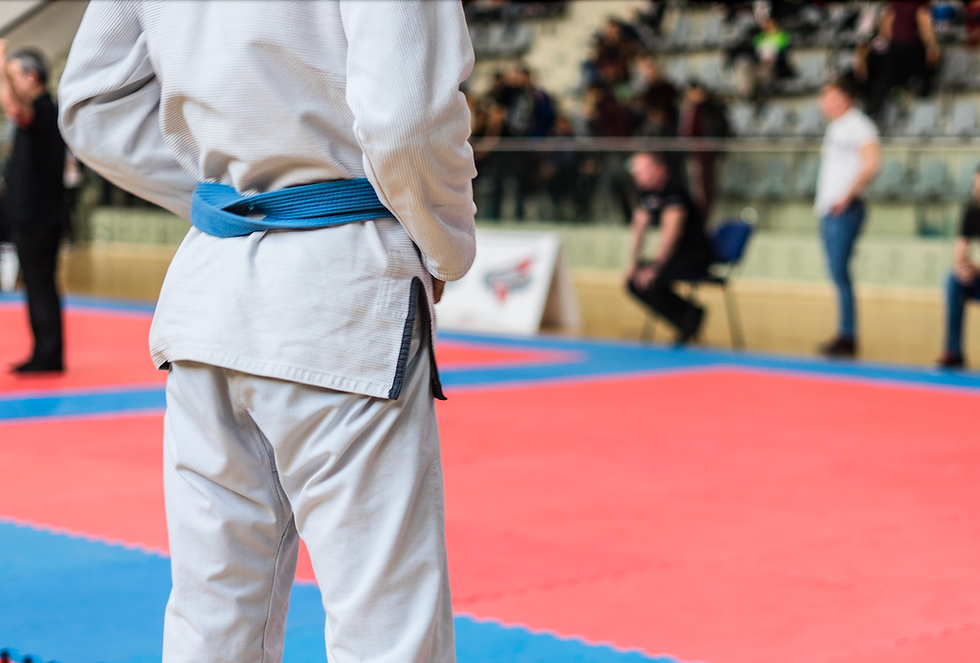 Brazilian Jiu Jitsu