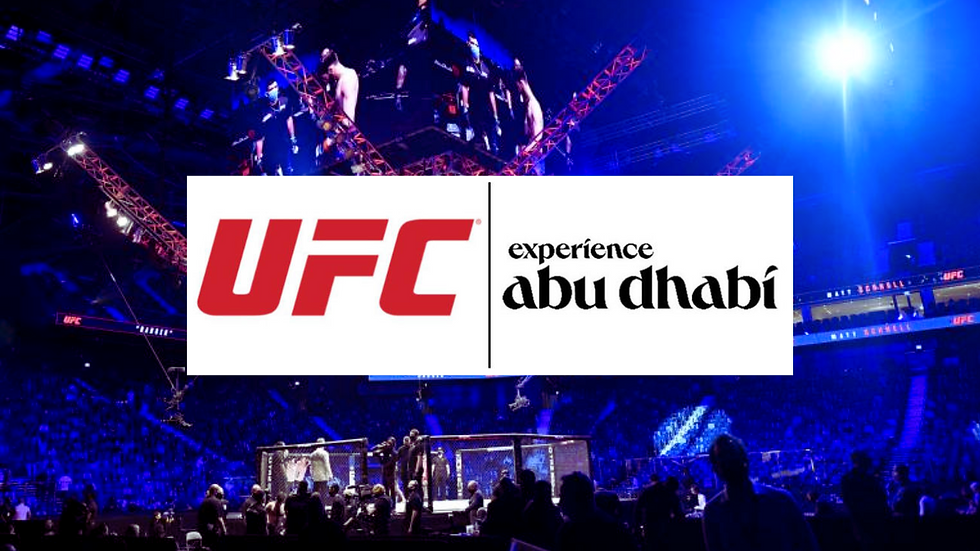 UFC 308 Introduction Post