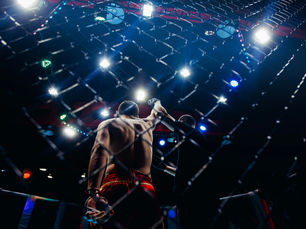 The Black Eye of the Beholder (IS MMA Art)
