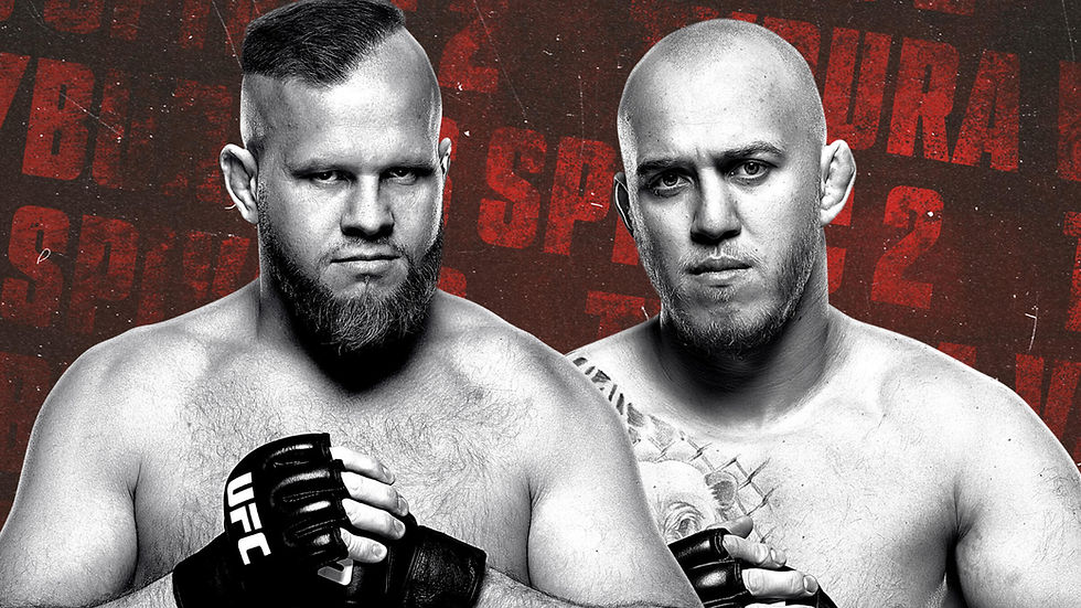 UFC Fight Night: Tybura vs Spivac 2 poster
