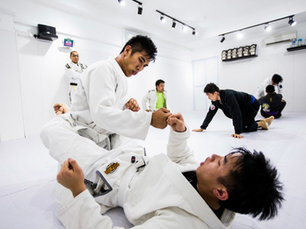 The Martial Arts Mat: Navigating the 7 types of Training Partners