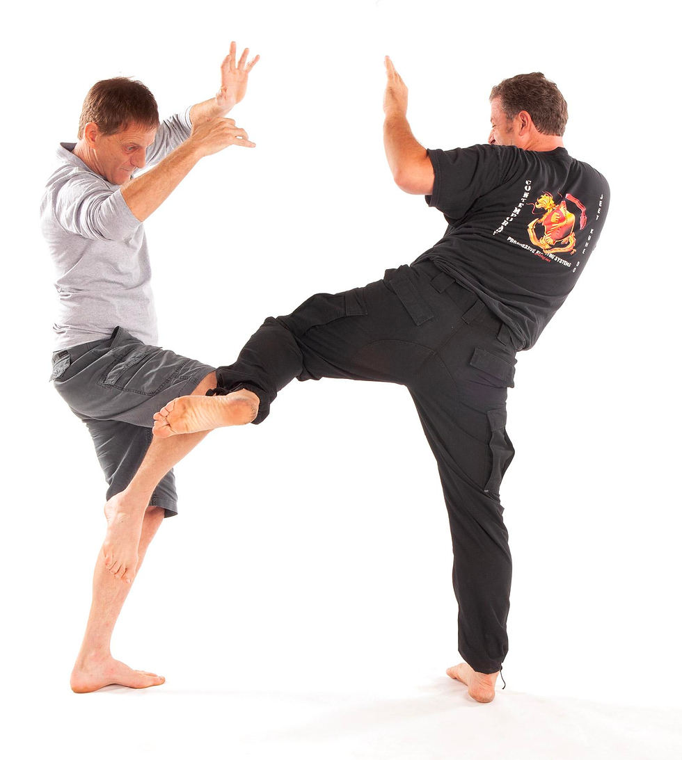 The man kicks, and Vunak uses a defanging technique that entails blocking with his leg.
