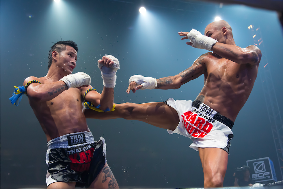 Thai Martial Art Muay Boran