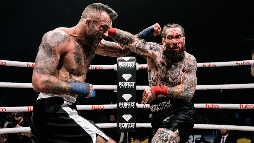 image 14