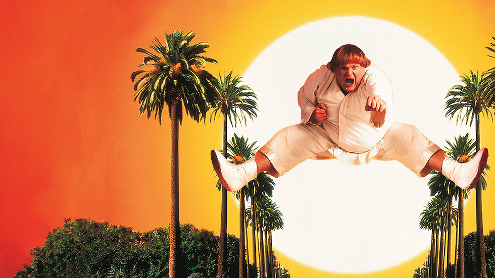 Beverly Hills Ninja