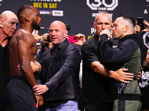 UFC 296 Results: A Night of Thrilling Battles and Decisive Victories