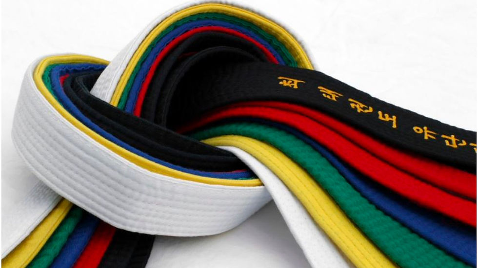 Martial Arts Belts