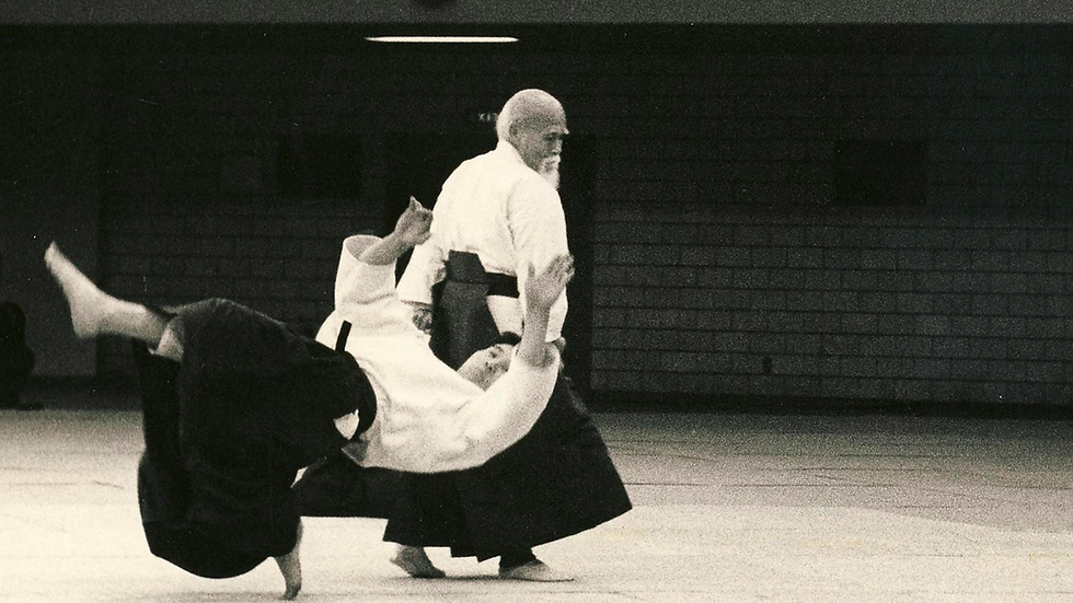 Old Martial Art master in action