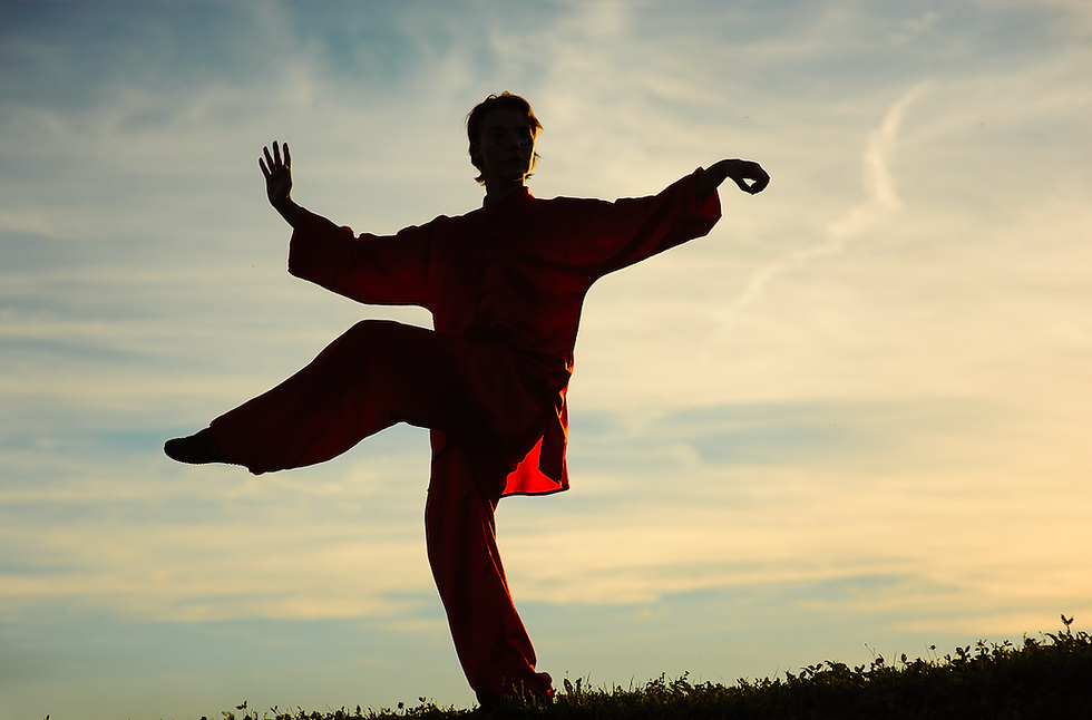 a martial artist practising martial arts during sunset