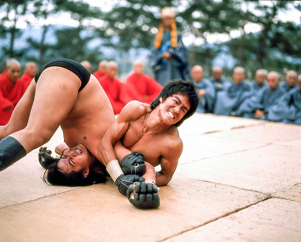 Bruce Lee vs. Sammo Hung