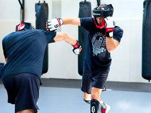 Brain Study Shows Pros and Cons to MMA Sparring
