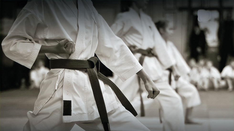 Martial Arts Training