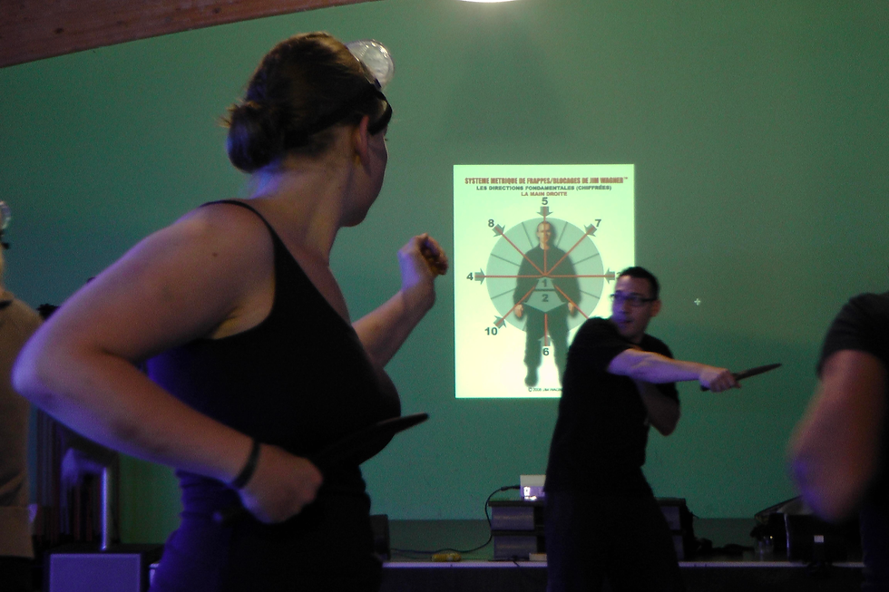 Combat Striking