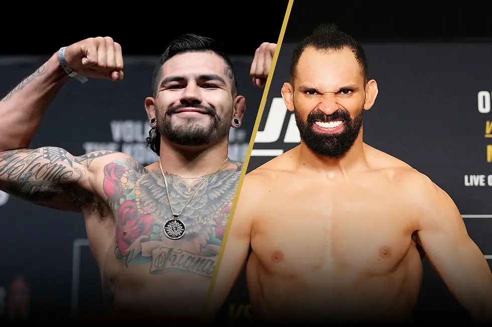 UFC Fight Night: Hernandez vs Pereira