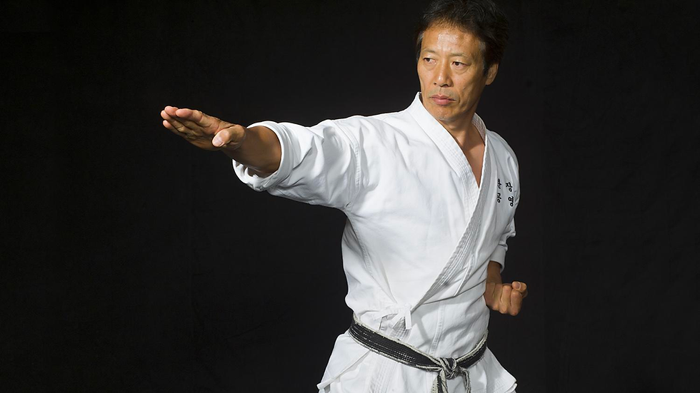 martial arts master