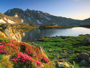 Renew Your Martial Arts Motivation With a Reflective Sojourn!