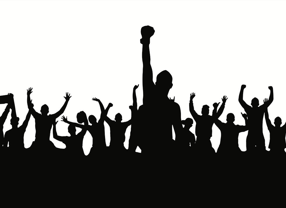 MMA Fans Shadow illustration