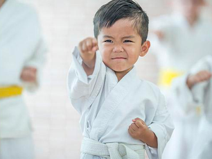What do you need to know when choosing a martial art school for your child?
