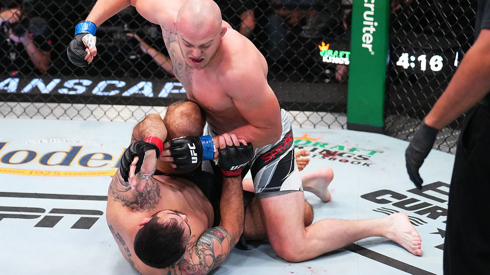 Serghei Spivac UFC