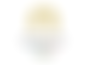 Paris Olympics 2024: Judo Facts and Highlights