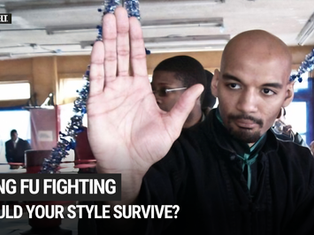 Everybody Was Kung Fu Fighting: Would Your Style Survive?