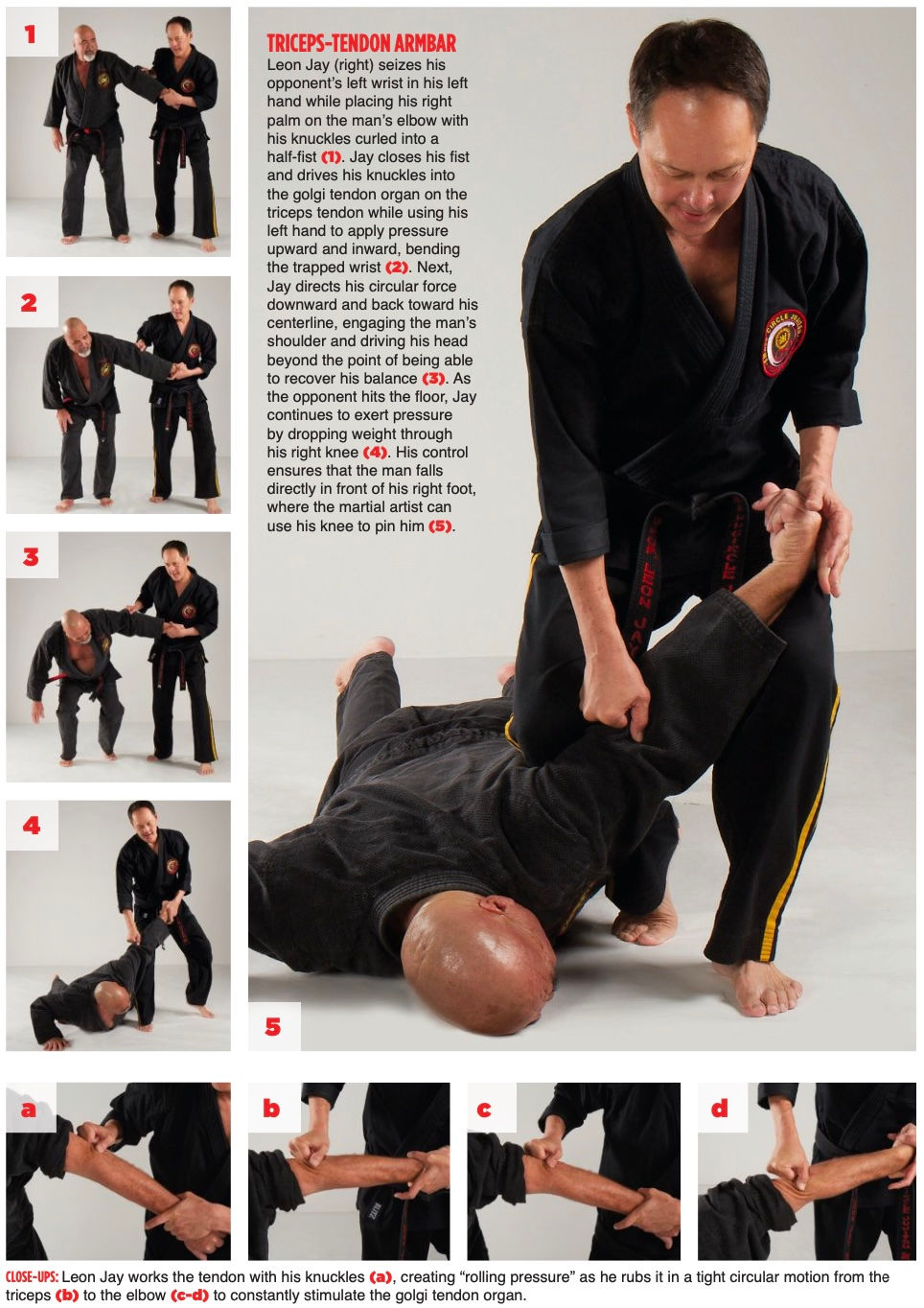 Martial artist demonstrates a triceps-tendon armbar technique on an opponent. Steps shown in a sequence with detailed text instructions.