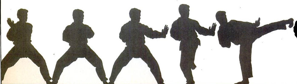 Silhouettes of five individuals practicing martial arts in defensive and kicking stances. White background, calm and focused mood.