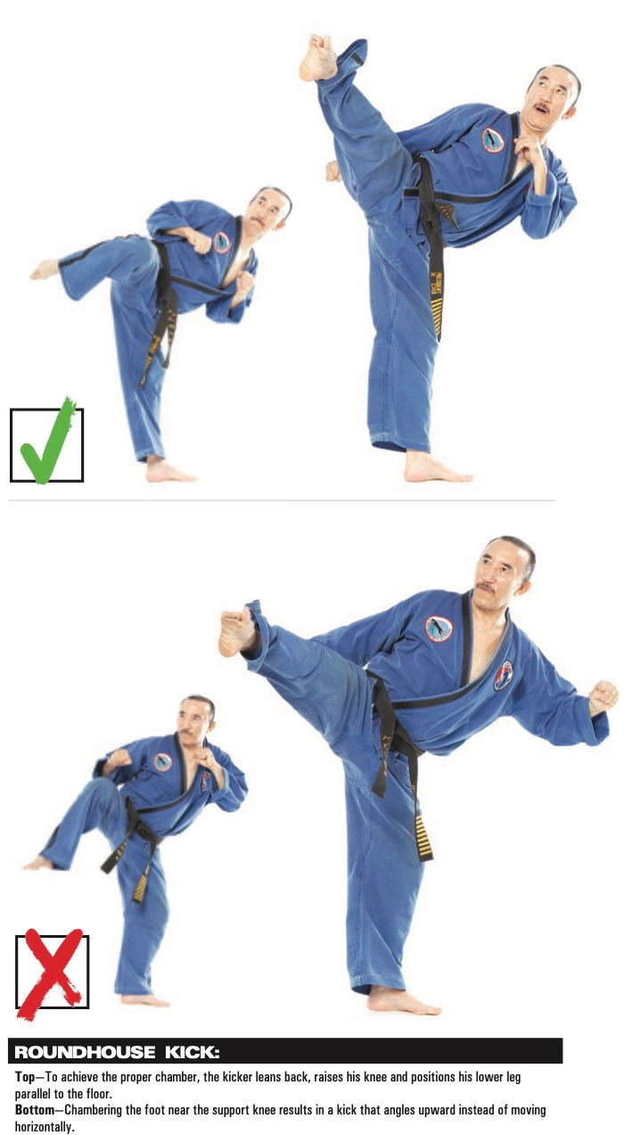 Martial artist in blue gi shows correct and incorrect roundhouse kick poses, marked with green check and red X, on white background.