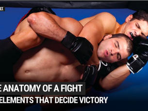 The Anatomy of a Fight: Six Elements That Decide Victory