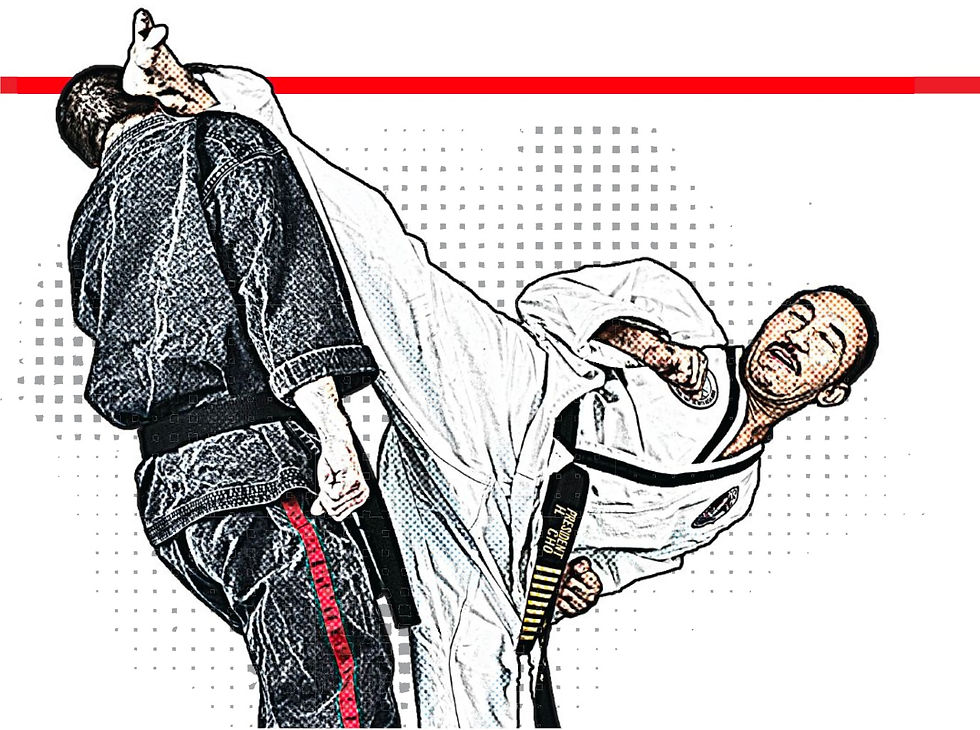 Two martial artists in action: one in a black gi receives a high kick from another in a white gi. Intense expression, comic-style art.