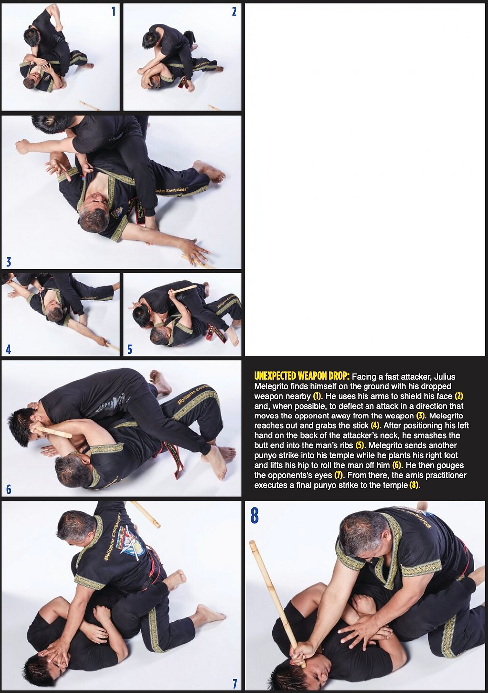 Two martial artists in black uniforms perform self-defense moves on a white mat. One practitioner uses a stick. Sequential actions shown.