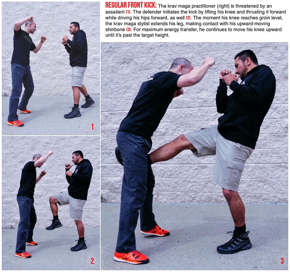Two men practice Krav Maga against a brick wall. One man kicks, wearing orange shoes; the other, in black, defends. Instructional steps shown.