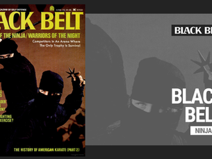 Cover Story Throwback: Ninja
