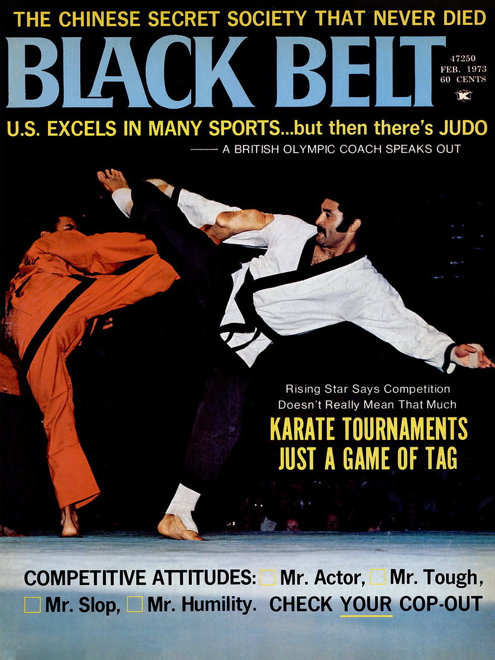 Two martial artists in action; one in a white gi kicks, the other in an orange gi blocks. Text includes "Black Belt" and "Karate Tournaments."