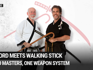 The Cane as a Sword: Applying Kenjutsu Principles to Real-World Defense