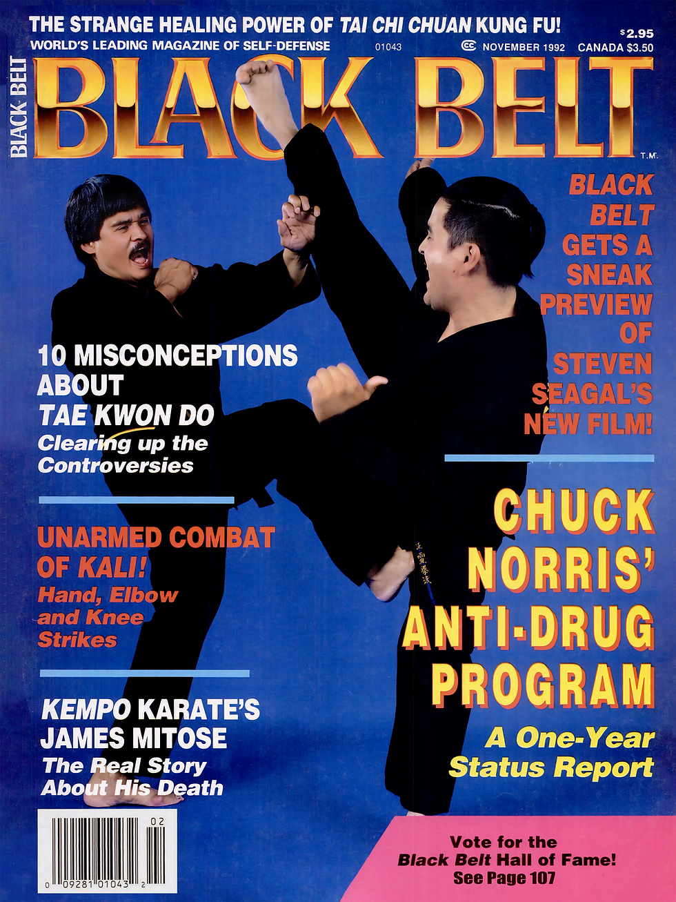Two martial artists in black uniforms spar against a blue background. Bold text discusses Tae Kwon Do, Chuck Norris, and action films.