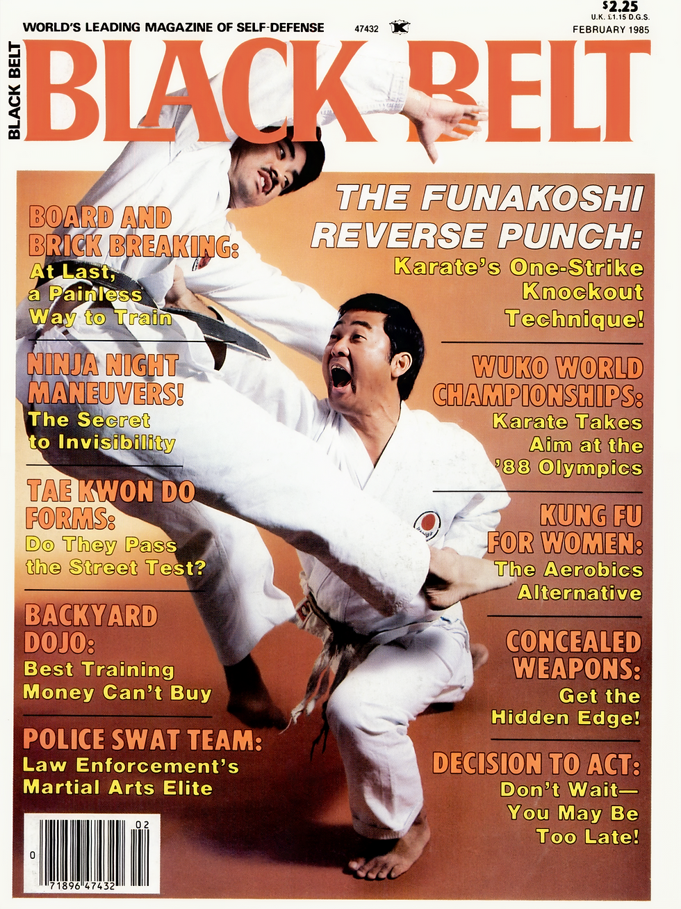 Two martial artists in white gis perform a punch on the cover of "Black Belt" magazine, Feb 1985 edition. Bold text highlights karate topics.
