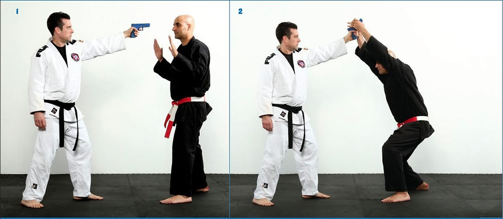 Two practitioners show gun defense