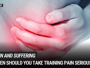 Pain and Suffering: A Guide to Martial Arts Pain and Injury