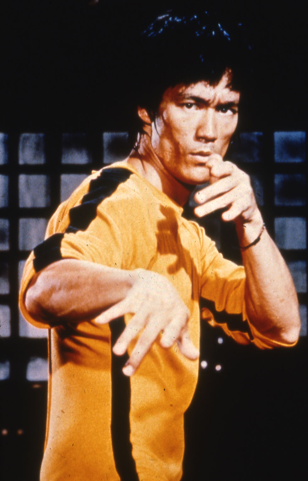 Person in a yellow and black tracksuit striking a martial arts pose with a focused expression, against a dark, grid-patterned background.