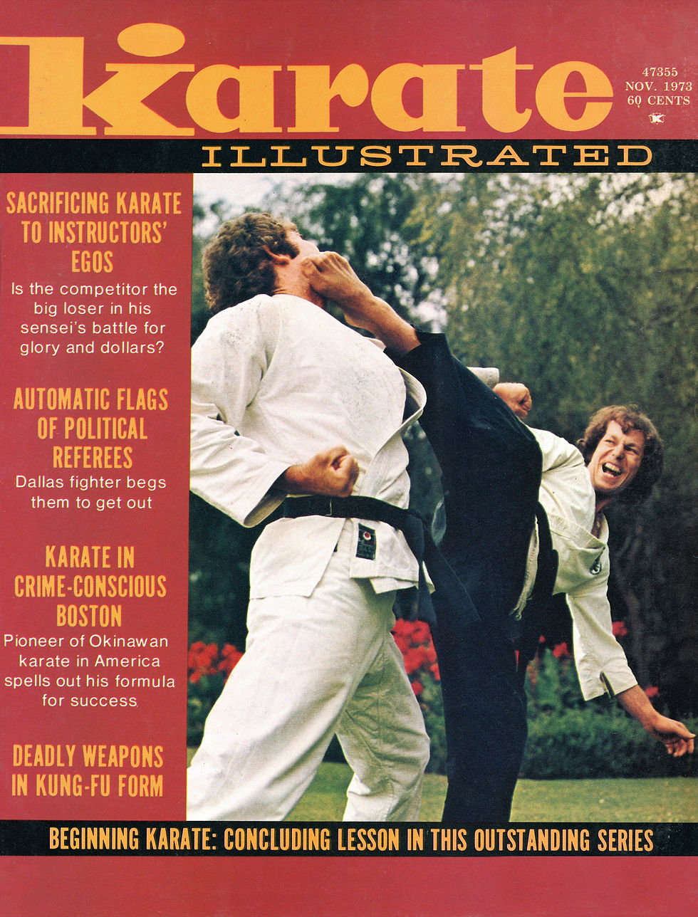 Man performing a martial arts technique on another person; magazine cover with bold text on self-defense and martial arts topics; dynamic mood.
