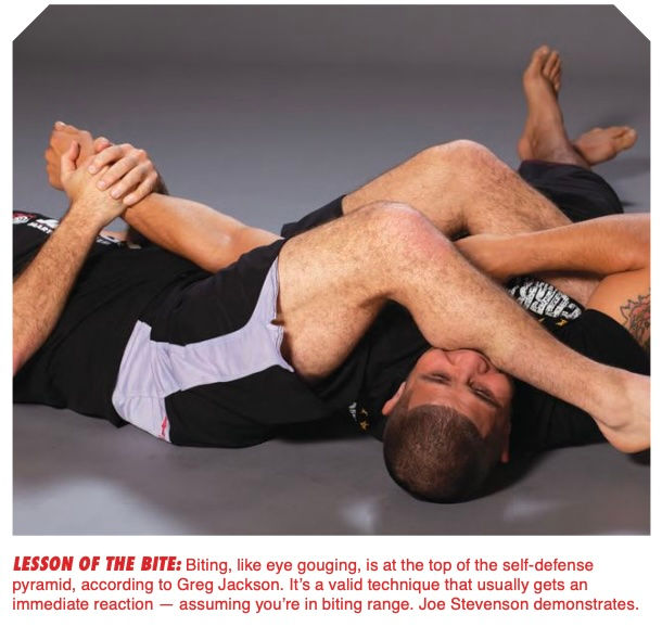 Lesson of the bite