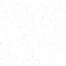 1.1 - Homepage