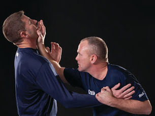 Exploring the Evolving Landscape of Combatives: Tradition, Technology, and the Influence of Social Media