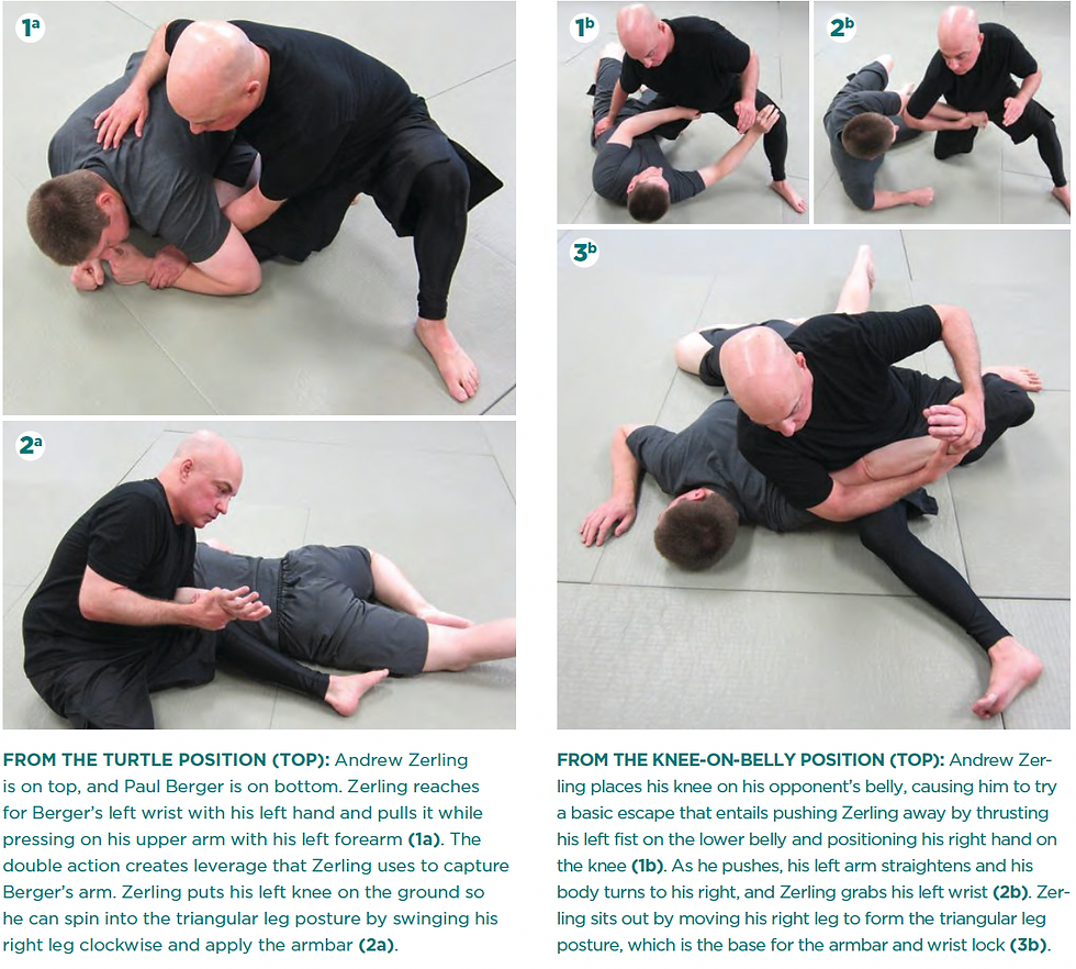 Judo Arm Lock for Brazilian Jiu-Jitsu