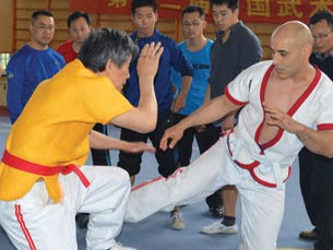 Shou Bo: a Hybrid of San Da and Shuai Chia