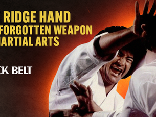 CLASSIC BLACK BELT - Unveiling the Legacy of the Legendary Ridge Hand: A Timeless Technique in the Blood and Guts Era of Karate