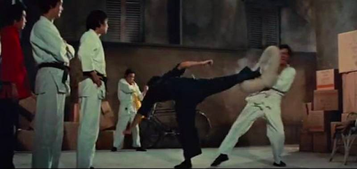 kicking shield