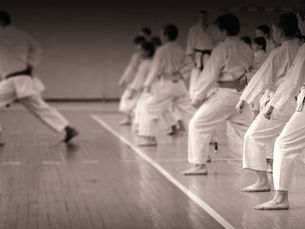 Do You Understand The Kata? Find Out Now!!