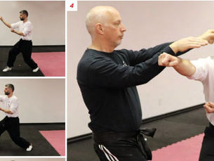 When Cranes Fly: What You Need to Know About This Rare Style of White-Crane Kung Fu
